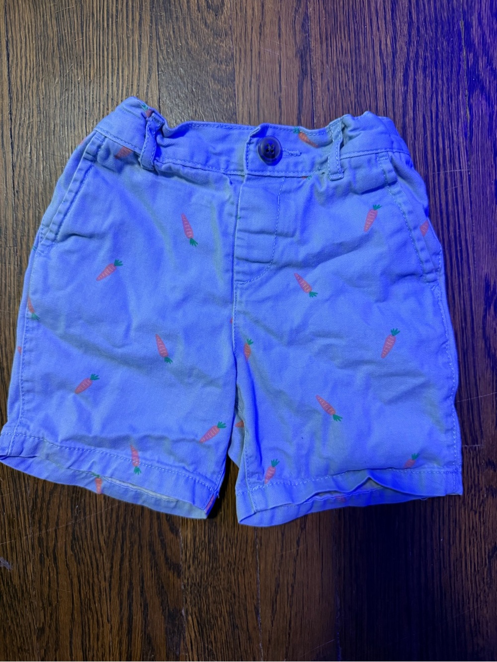 The Children's Place Blue Shorts with Carrot Print
